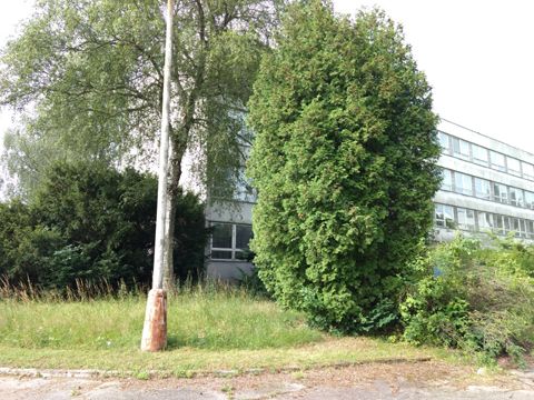 Foto 165